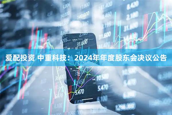 爱配投资 中重科技：2024年年度股东会决议公告