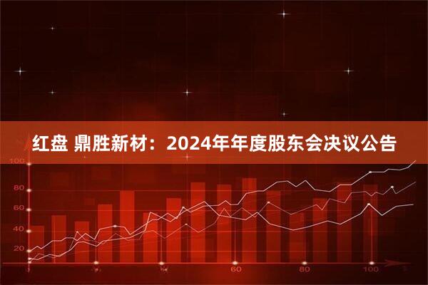 红盘 鼎胜新材：2024年年度股东会决议公告