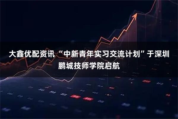 大鑫优配资讯 “中新青年实习交流计划”于深圳鹏城技师学院启航