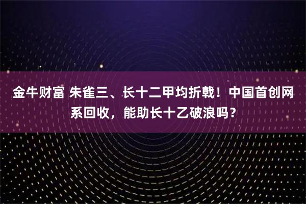金牛财富 朱雀三、长十二甲均折戟!中国首创网系回收,能助长十乙破浪吗?