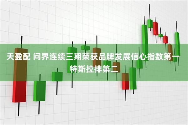 天盈配 问界连续三期荣获品牌发展信心指数第一 特斯拉排第二