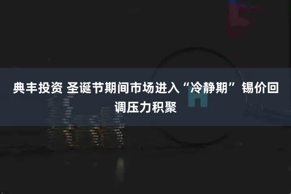 典丰投资 圣诞节期间市场进入“冷静期” 锡价回调压力积聚