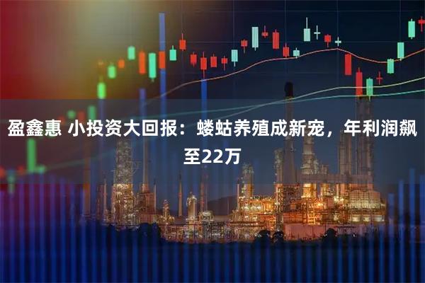 盈鑫惠 小投资大回报：蝼蛄养殖成新宠，年利润飙至22万